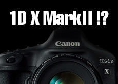 1D X MarkII