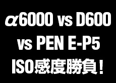 α6000 vs PEN E-P5 vs D600 ISO感度勝負！