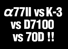 a77II vs K-3 vs D7100 vs 70D