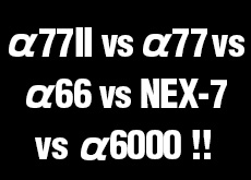 α77II vs α77 vs α65 vs α6000 vs NEX-7！