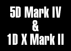「5D Mark IV」 ＆「1D X Mark II」