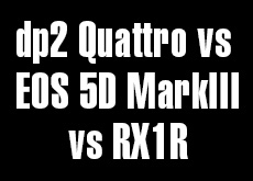 dp2 Quattro vs DSC-RX1R vs EOS 5D MarkIII