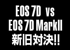 Canon EOS 7D vs 7D Mark II！新旧ISO感度対決！