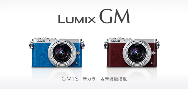 デジタルカメラ LUMIX GM1S