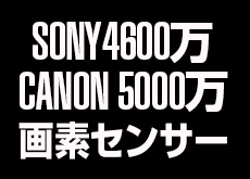 ソニーが4600万画素、キヤノンは5000万画素のフルサイズ機を2015年第1四半期中に発表する！？