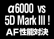 一眼レフ vs ミラーレス！EOS 5D Mark IIIとα6000での動体AF対決。