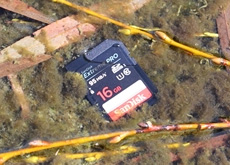 SD/microSDカードを川に水没、20mの高さから落下、人が激しく踏み、自動車で轢き、洗濯機で洗濯、60度で乾燥させてみた！