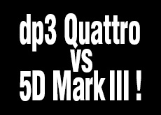 dp3 Quattroと5D MarkIIIの比較。解像感はdp3 Quattroの圧倒的勝利…だけど