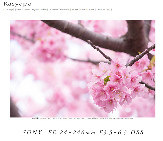 ソニー  FE 24-240mm F3.5-6.3 OSS レビュー「高倍率ズームのイメージを変えてくれるほど素晴らしい性能を持った一本。」