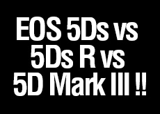 EOS 5Ds vs 5Ds R vs 5D Mark III！「5Dsは前評判通りの解像感に、高感度や階調再現も十分満足」