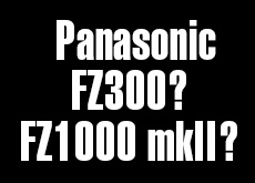 パナソニック FZ300（FZ1000 mkII？）はソニー製フォーサーズセンサー＆ライカ24-400mm F1.8-4を採用する！？