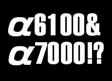 α6000後継機（α6100？α6000II？）とNEX-7後継機（α7000？）は、やはり発表される！？