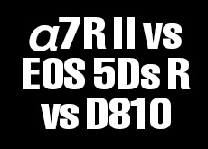 α7R II vs EOS 5Ds R vs D810！高画素機対決。