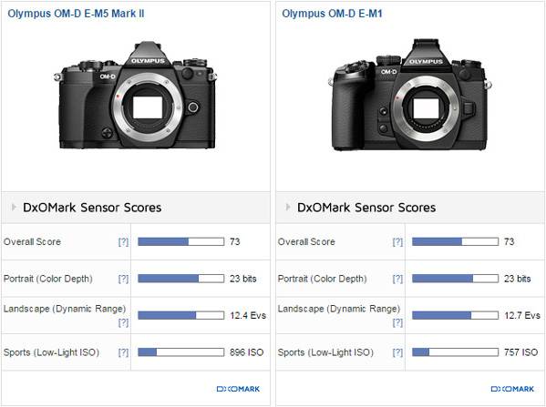OM-D E-M10 Mark II vs E-M10 vs E-M1 vs E-M5 Mark II ！センサー性能はほぼ互角の模様。