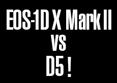 EOS-1D X Mark II vs D5！高感度画像比較。