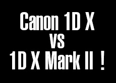 キヤノン1D X vs 1D X Mark II