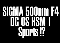 シグマ 500mm F4 DG OS HSM | Sports
