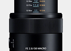 ソニーFE 50mm F2.8 Macro
