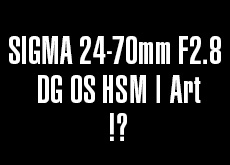 シグマ 24-70mm F2.8 DG OS HSM | Art