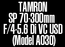TAMRON　SP 70-300mm F/4-5.6 Di VC USD (Model A030)