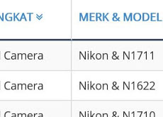ニコンの未発表カメラ「N1711」