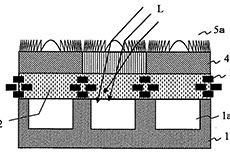 凸版印刷のイメージセンサーのマイクロレンズ構造に関する特許