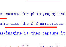 ニコン公式サイトのソースにあった「Z 8」の記述は「Z 9」のタイプミス！？