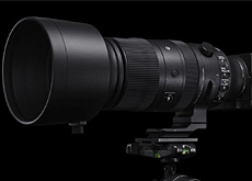 SIGMA 60-600mm F4.5-6.3 DG DN OS | Sports