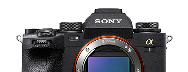 ソニー「α1」の新しいファームウェアを写真家がテストしている！？