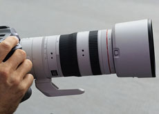 RF70-200mm F2.8 L IS USM Z