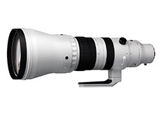 Sigma 300-600mm F4 DG OS｜Sports