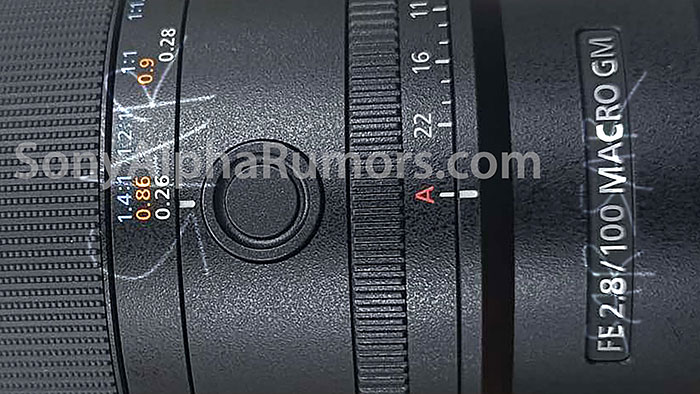 FE 100mm F2.8 Macro GM OSS