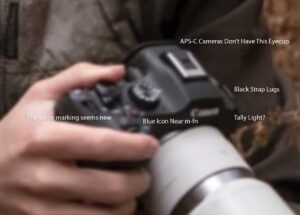 キヤノン「EOS R6 Mark III」