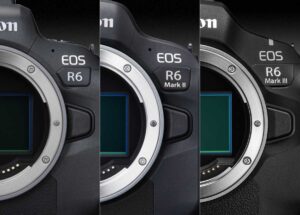 「EOS R6」vs「EOS R6 Mark II」vs「EOS R6 Mark III」。R6シリーズ比較。