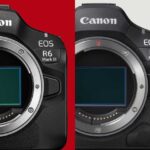 キヤノン「EOS R6 Mark III」vs「EOS R5 Mark II」！価格差16～20万の価値はあるのか。