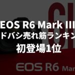 ヨドバシカメラの2025年11月下期ランキングで「EOS R6 Mark III」が初登場1位。レンズキットが6位にランクインした模様。