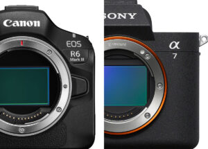 ソニー「α7 V」vsキヤノン「EOS R6 Mark III」。画質とAF性能では「α7 V」がわずかに優位、動画性能も加味すると「EOS R6 Mark III」の方がやや魅力的。とはいえ、実際の差はごくわずか。