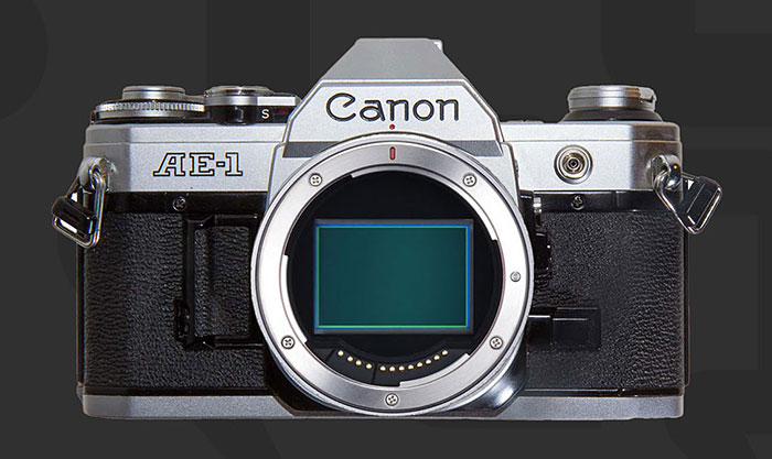 キヤノンのレトロスタイルのEOS Rが2026年に登場する!?「EOS R6 Mark III」と同じ3250万画素フルサイズセンサーを搭載し、手の届きやすい価格設定になる!?