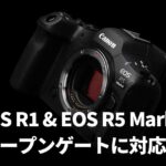 「EOS R5 Mark II」「EOS R1」にファームウェアアップデートで2月に新機能が追加される！？Open Gateに対応！？