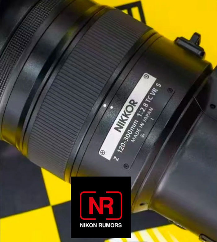 ニコン「NIKKOR Z 120-300mm f/2.8 TC VR S」