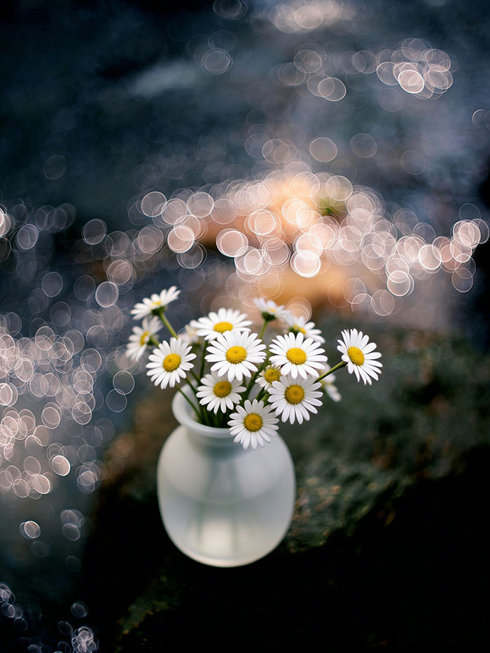 Brightin Star「50mm F2 TRI-SIGHT」