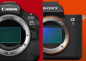キヤノン「EOS R6 Mark III」vs ソニー「α7 V」