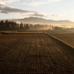 「Made in Aizu」から「育てるAizu」へ：シグマが会津で農業参入、会津ファーム設立で米栽培を開始