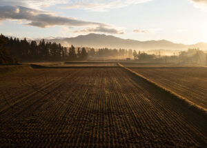 「Made in Aizu」から「育てるAizu」へ：シグマが会津で農業参入、会津ファーム設立で米栽培を開始
