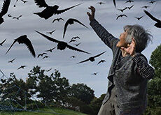 アドビが88歳アマチュア写真家 西本喜美子さんのプロデュース年賀状を配布。