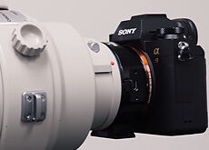 ソニーα9とキヤノンEF300mm F2.8L IS II USMとEF400mm F2.8L IS II USMの使用レビュー