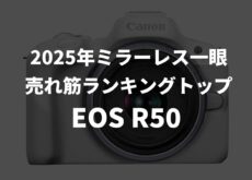 BCN2025年のミラーレス一眼売れ筋ランキングは、「EOS R50」がトップに。2位「VLOGCAM ZV-E10 II」、3位「EOS R10」。